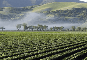 Screen shot 2013-10-08 at 10.20.01 PM